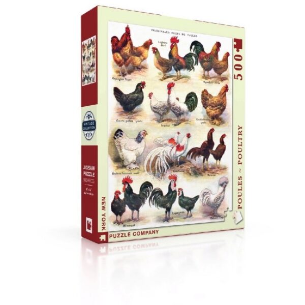 New York Puzzle Company Poules ~ Poultry - 500 pieces