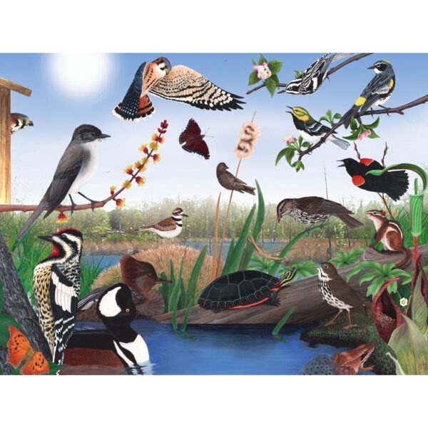 New York Puzzle Company - Cornell Lab Spring Trail - 1000 stukjes puzzel - Afbeelding 3