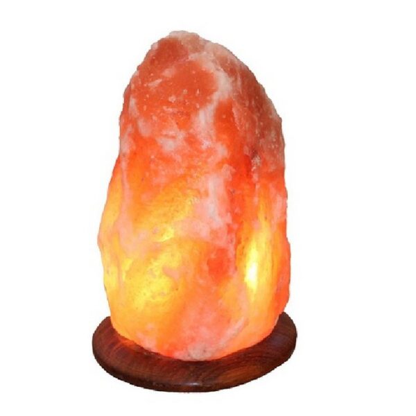 Himalaya Salt Dreams lamp himalaya zout houten voet - 42324 - 31 cm hoog - oranje