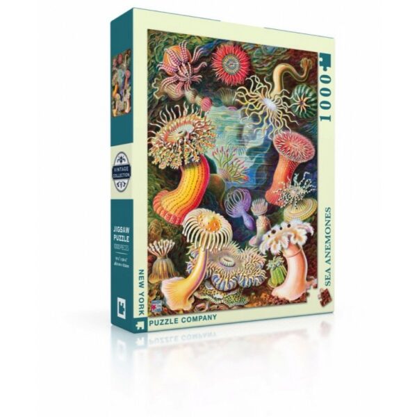 New York Puzzle Company - Vintage Images Sea Anemones - 1000 stukjes puzzel