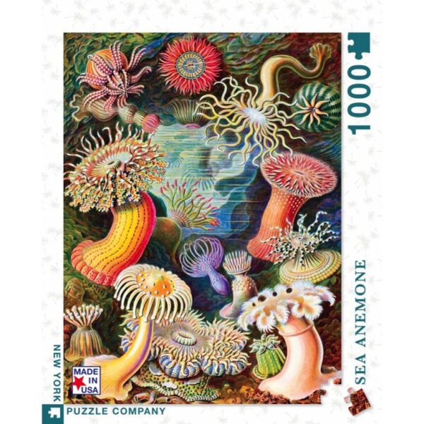 New York Puzzle Company - Vintage Images Sea Anemones - 1000 stukjes puzzel - Afbeelding 5