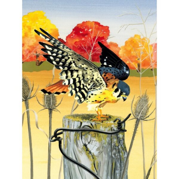 New York Puzzle Company - Cornell Lab American Kestrel - 1000 stukjes puzzel - Afbeelding 3