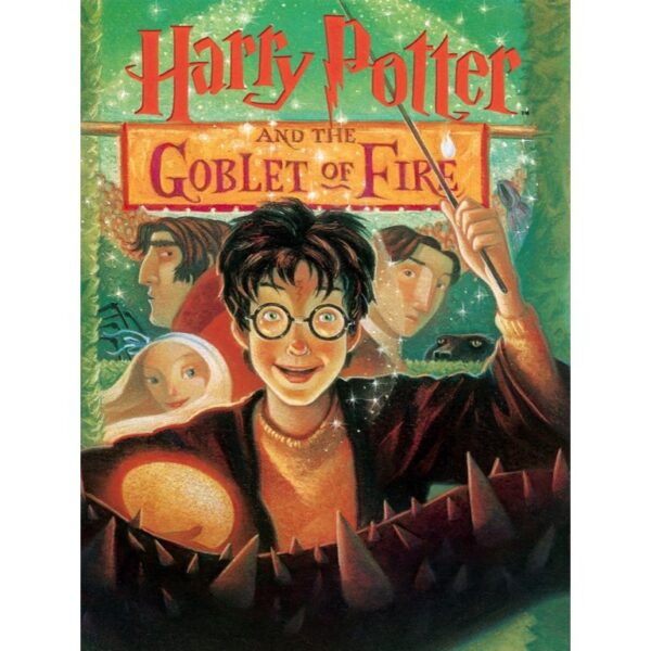 New York Puzzle Company - Harry Potter Goblet of Fire - 1000 stukjes puzzel - Afbeelding 4
