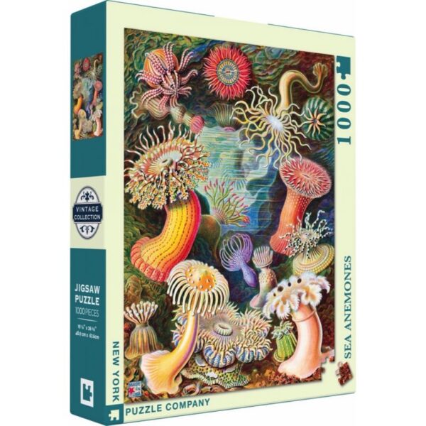 New York Puzzle Company - Vintage Images Sea Anemones - 1000 stukjes puzzel - Afbeelding 2