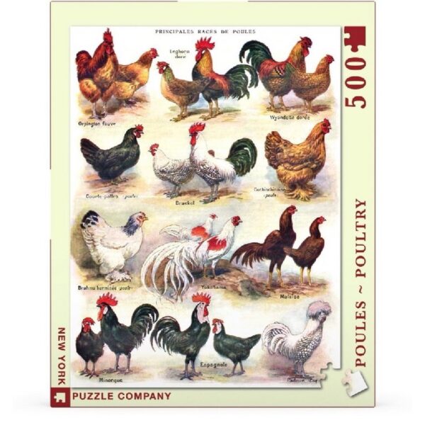 New York Puzzle Company Poules ~ Poultry - 500 pieces - Afbeelding 2