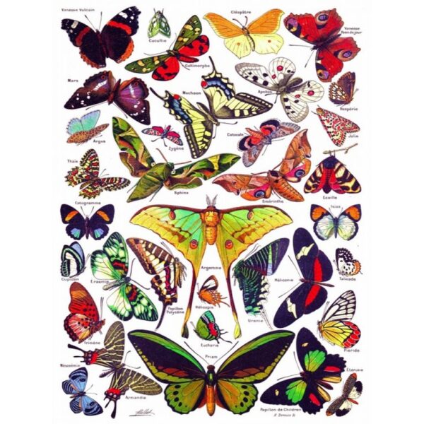 New York Puzzle Company - Vintage Images Butterflies~Papillons - 1000 stukjes puzzel - Afbeelding 4