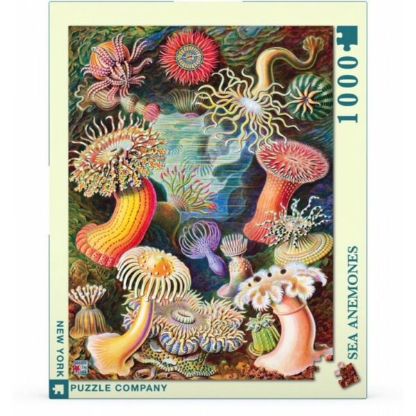 New York Puzzle Company - Vintage Images Sea Anemones - 1000 stukjes puzzel - Afbeelding 3