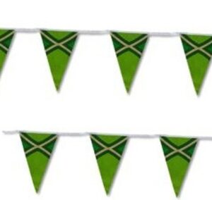 Achterhoek vlaggenlijn 10m / 20 vlaggen